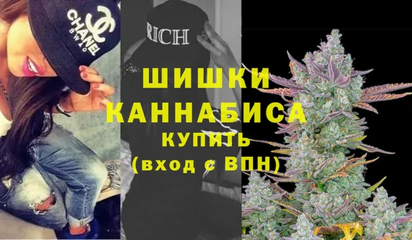 дживик Богданович