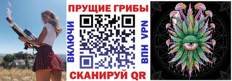 blacksprut ссылки  Тамбов  дарк нет формула  Галлюциногенные грибы Magic Shrooms 
